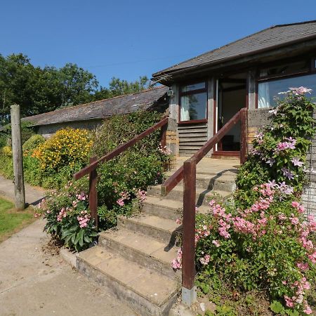 The Bushel Villa Bideford Exterior foto